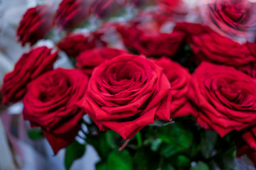 bouquet of red roses, rose flower background 