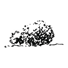 Rounded shrub, hand drawn architectural bush
