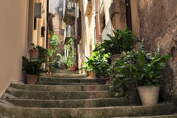 Fototapeta na wymiar Old Stone Street Stairs Decorated With Green Plants