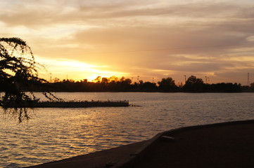 SONY DSC