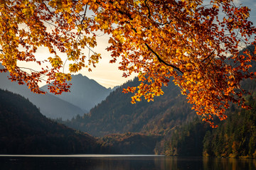 Autumn colours in a small German town of Hohenschwangau