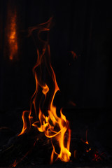 Flames on a dark background. Fire bonfire.
