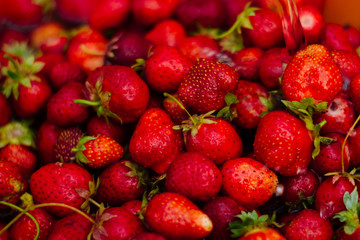 Red strawberries in the water. Rich harvest of berries. Country fruits