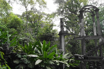 SONY DSC