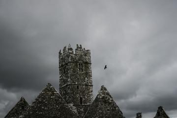 Ross Abbey in Ireland on an abandond place