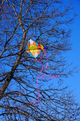 Colorful kite soars in the cold chilly wind of January 2020 at a park in Milwaukee, Wisconsin of Cool Fool kite festival. 
