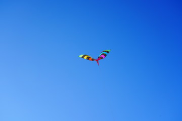 Colorful kite soars in the cold chilly wind of January 2020 at a park in Milwaukee, Wisconsin of Cool Fool kite festival. 