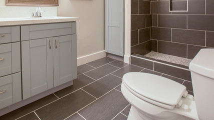 Panorama California bathroom clean inside with black tile