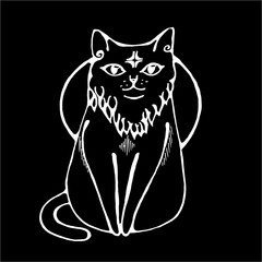 Illustration of a cat that sits calmly with a star in the forehead and the moon on the background. Chalk on a blackboard.