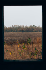 Selective focus of field from window of abandoned house