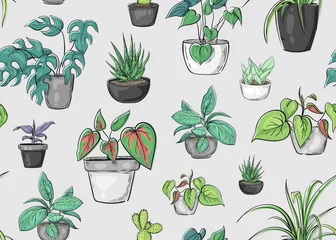 Wallpaper murals Plants in pots Seamless pattern with plants in pots