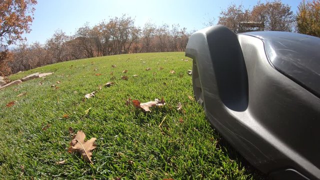 Ground level view of robot lawn mower as it drives drives by trimming the grass.