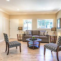 Square frame Living room with bamboo plant
