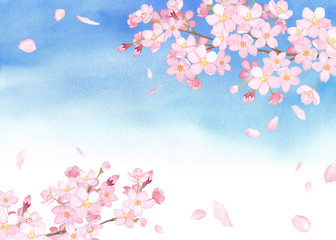 春の花：青空を背景にした桜と散る花びらのフレーム　水彩イラスト