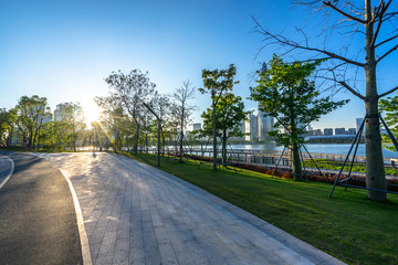 road in forest