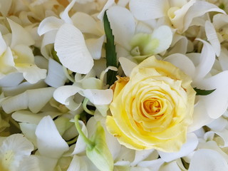 bouquet of yellow roses