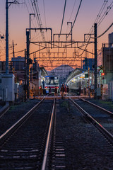 Obraz premium 京王線と富士山