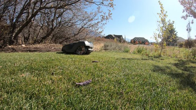 Robotic lawn mower stopping and backing up as it cuts grass in yard staying in its programmed boundary.
