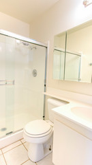 Vertical frame White bathroom with shower and glass door