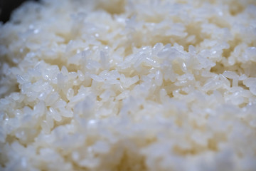 Cooked rice in a bowl.