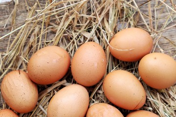 eggs on hay on old wooden