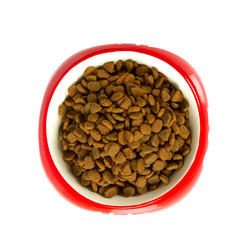 dry cat food isolated on white background
