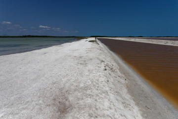 Kolorowa laguna rio Lagartos, Meksyk