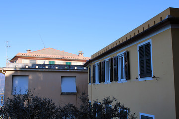 Filare di finestre all'ombra con rami di ulivo