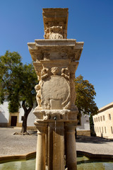Baeza (Ja&eacute;n) Spain. Architectural detail of the Santa Mar&iacute;a fountain in the historic center of the town of Baeza