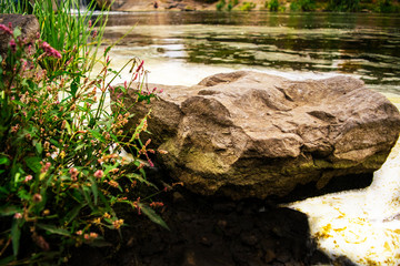  Nature platinum vacation fishing waters