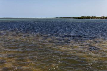 Laguna Rio Lagartos, Meksyk