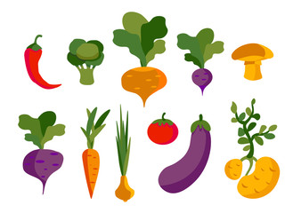 Set of vector vegetables, healthy food for vegans from the vegetable garden.