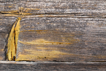 Wooden texture background