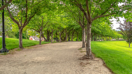 Pano Road lined with trees benches and lamp posts at a scenic park on a cloudy day