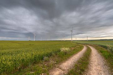 Windmills for electric power production surrounded by agricultural fields in Polish countryside....
