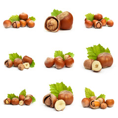 Set of Hazelnut nut many leaves isolated on a white background as a packaging design element