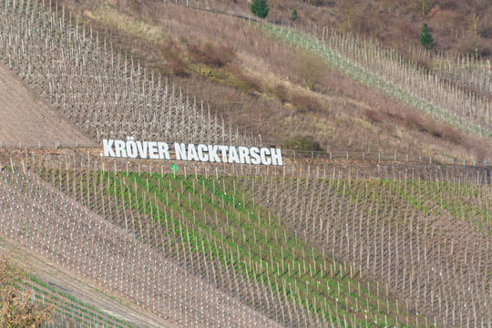 TRABEN-TRARBACH, GERMANY - MARCH 26, 2016: Billboard in the vineyards with inscription Kröver Nacktarsch. German wine-growing region on the Moselle near Traben-Trarbach, Rhineland-Palatinate, Germany,