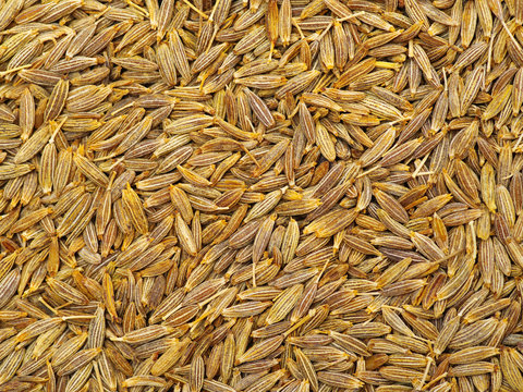 Cumin seeds texture, full frame background. Second most popular spice in the world after black pepper.