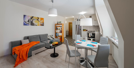 Spacious studio apartment with furniture. Living room. Kitchen. Light interior.