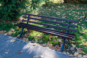 a single bench left in a park in Brasov Romania on a autumn day with many leaves beside it. Concept showing loneliness, stopping in the park, take a break from work