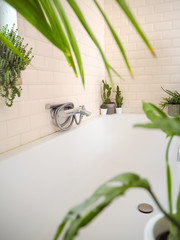 Bright bathroom with subway tiles and a large variety of green potted plants creating a green oasis