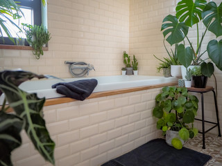 Small bathroom with subway tiles and a large variety of green potted plants creating a green oasis
