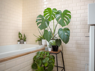Small bright bathroom with subway tiles and a large variety of green potted plants creating a green oasis