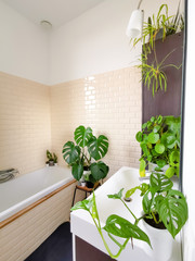 Small tiled bathroom with a bath and multiple green potted plants creating a tropical oasis