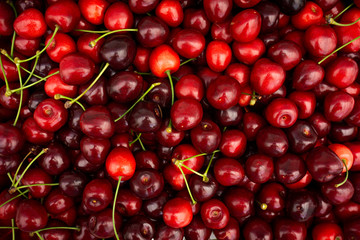 Cherry. Fresh organic berries. Fruit background
