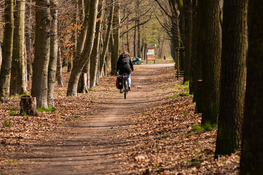 Cyclist in the forest early spring, photographed out of focus, symbolic image