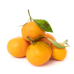 mandarins with leaf isolated on white background
