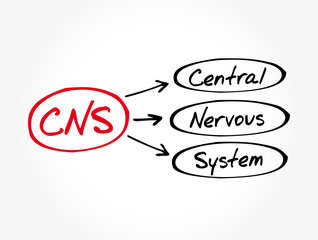 CNS - Central Nervous System acronym, concept background