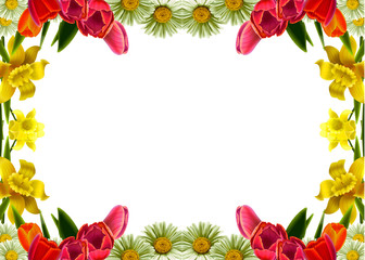 Colorful spring background with beautiful flowers.