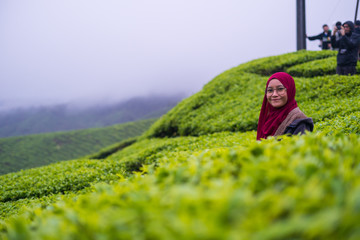 Portrait of cute young Muslim woman in red hijab, smile and happy with beautiful view of nature tea farm landscape at Cameron highlands